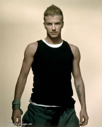 david